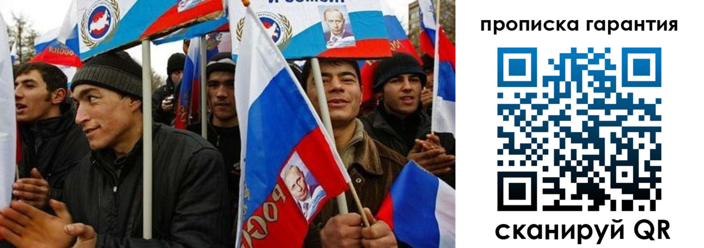 прописка поиск в Сольцах