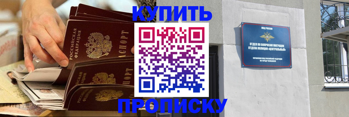 прописка законно в Сольцах